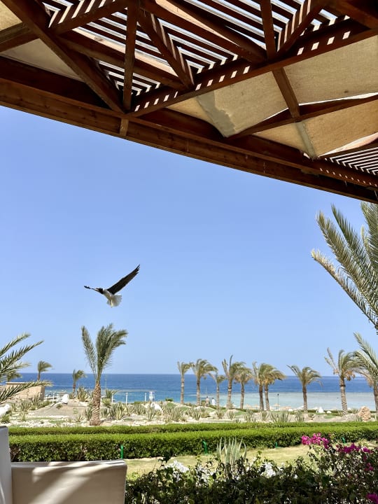 Ausblick Fantazia Resort Marsa Alam