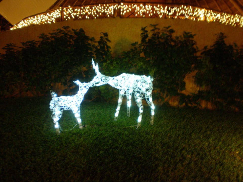 Schöne Weihnachtsdeko vor dem Hoteleingang The Reef Playacar