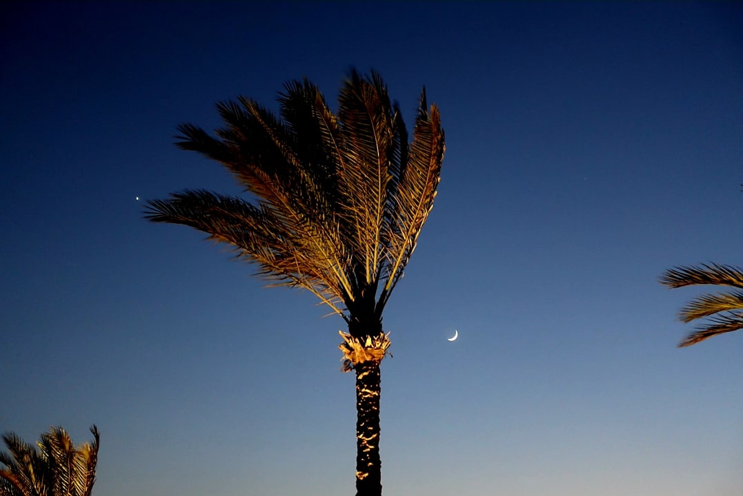 Ausblick Arabella Azur Resort