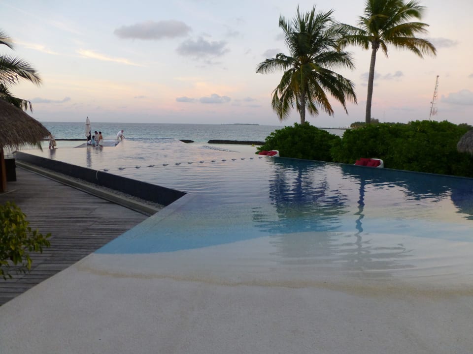 Infinity Pool Kuramathi Maldives