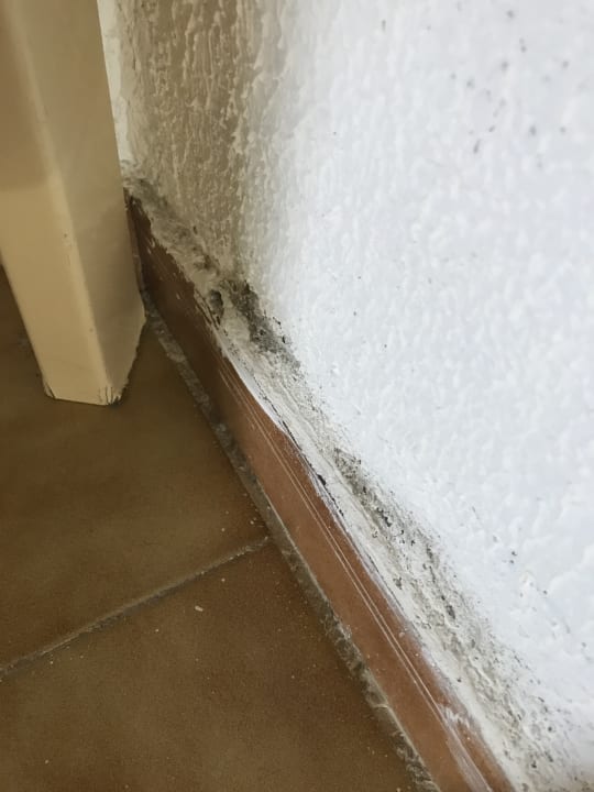 Zimmer Servatur Alameda de Jandía