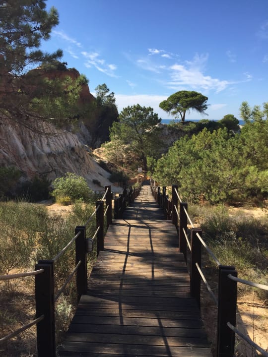 Treppen vom Strand Pine Cliffs Hotel, a Luxury Collection Resort