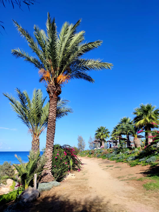Gartenanlage Crystal Springs Beach Hotel