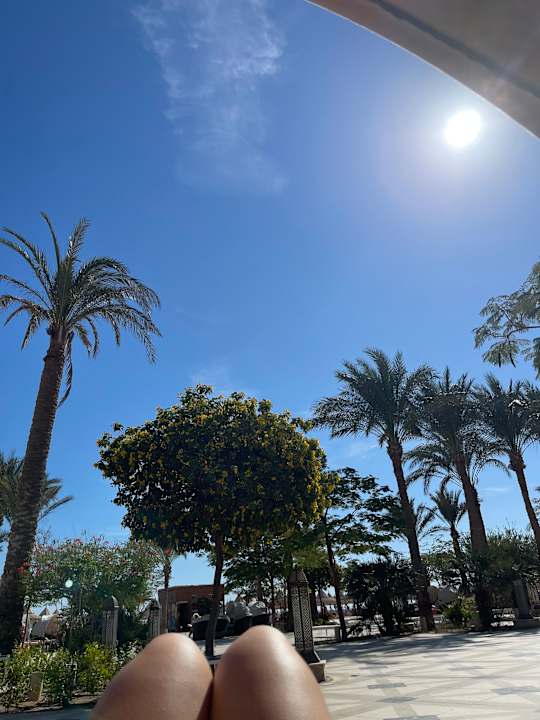 Gartenanlage The Grand Palace - Adults only