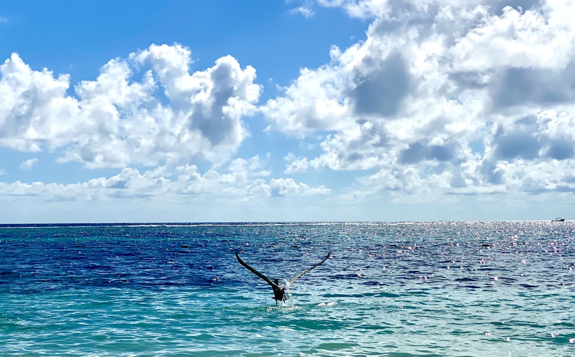Strand Akumal Bay Beach & Wellness Resort