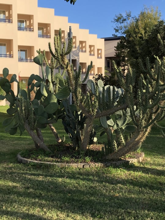 Gartenanlage Labranda Alantur Resort