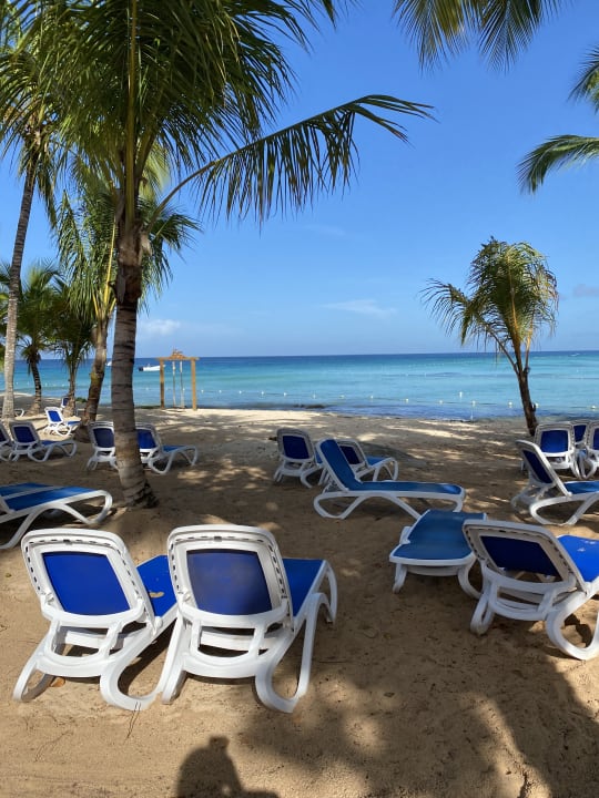 Strand Hotel Viva Dominicus Beach by Wyndham - All Inclusive Resort