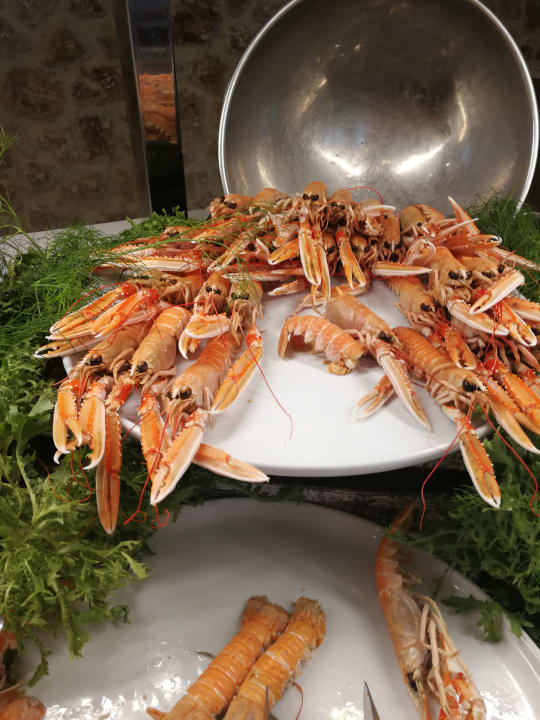 Gastro MarSenses Puerto Pollensa Hotel & Spa