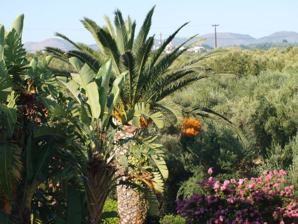 Widoki piękne AluaSoul Zakynthos - Adults only