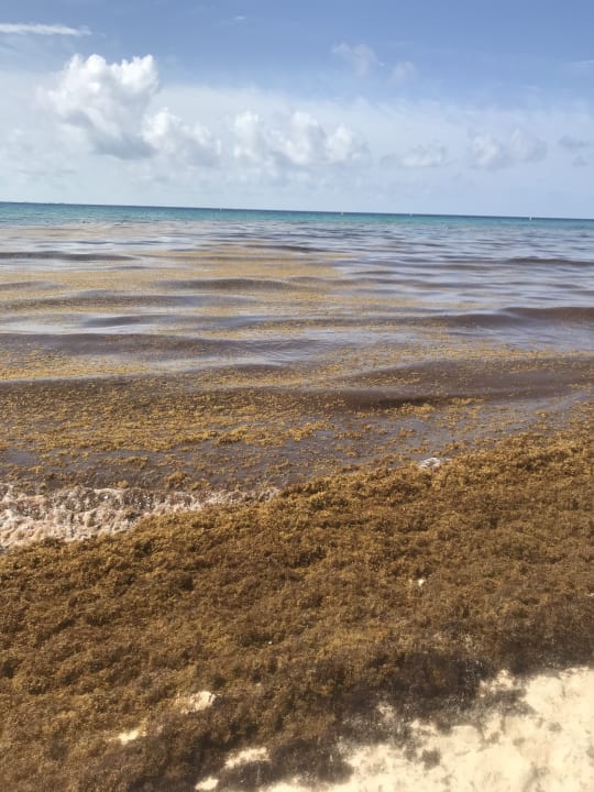 Strand Iberostar Waves Tucan