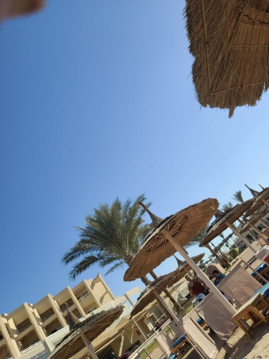 Pool Beach Albatros Resort