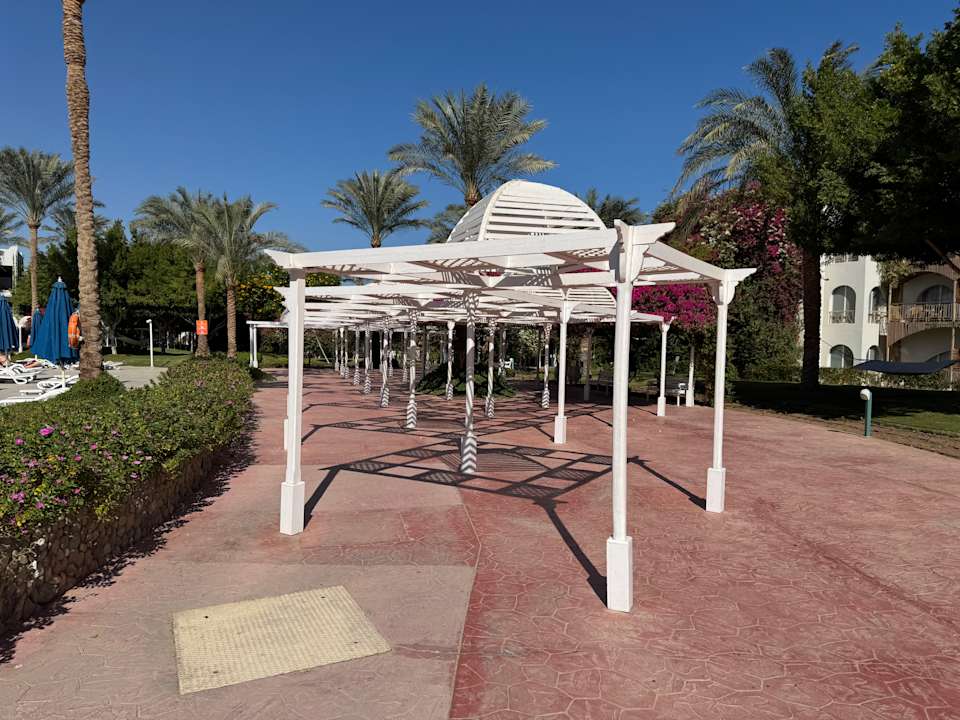 Gartenanlage Desert Rose