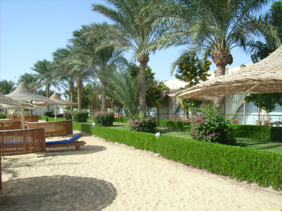 Außenansicht Desert Rose