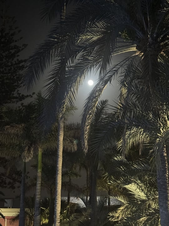 Ausblick Hotel Riu Palace Oasis