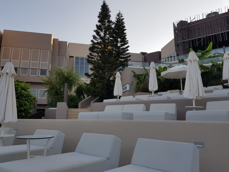 Sonstiges PALOMA Perissia