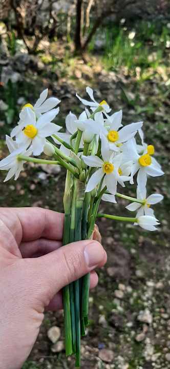 Strand Limak Limra Hotel & Resort