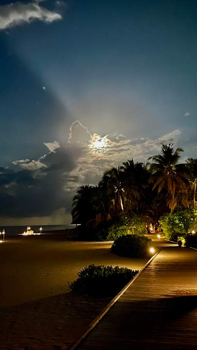 Ausblick Vilamendhoo Island Resort & Spa