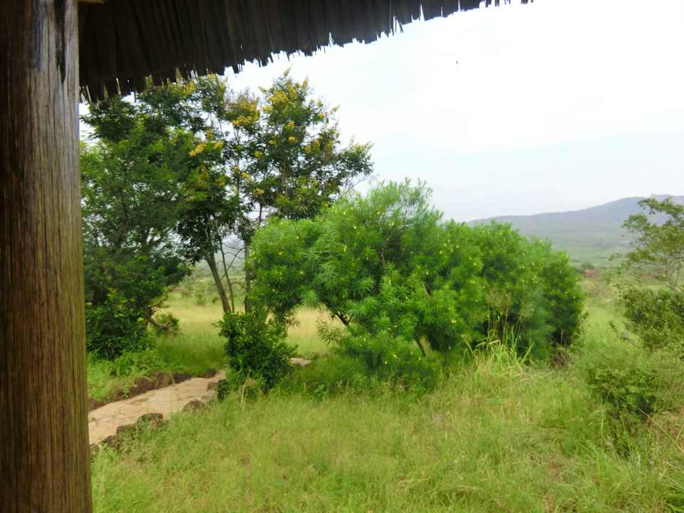 Weg zur Lodge Rhino Valley Lodge