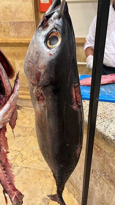 Gastro Shams Safaga Resort