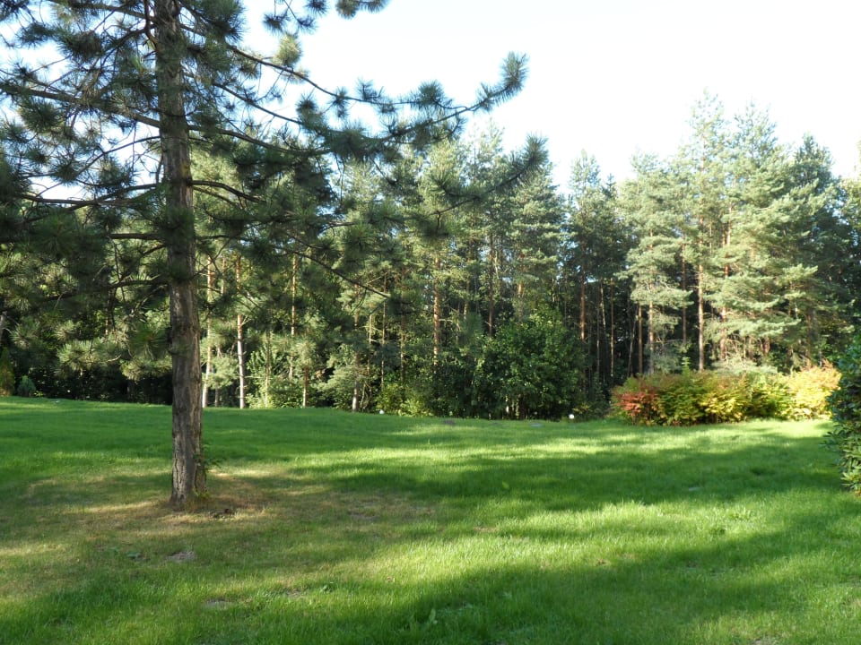 Sehr ruhig wohnen im Hotel Albrechtshof Gohrisch Hotel Albrechtshof