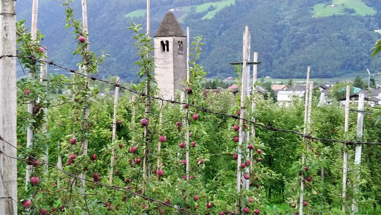 Ausblick Hotel Belvedere