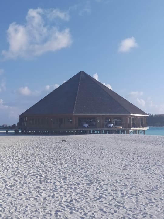 Gastro Meeru Maldives Resort Island