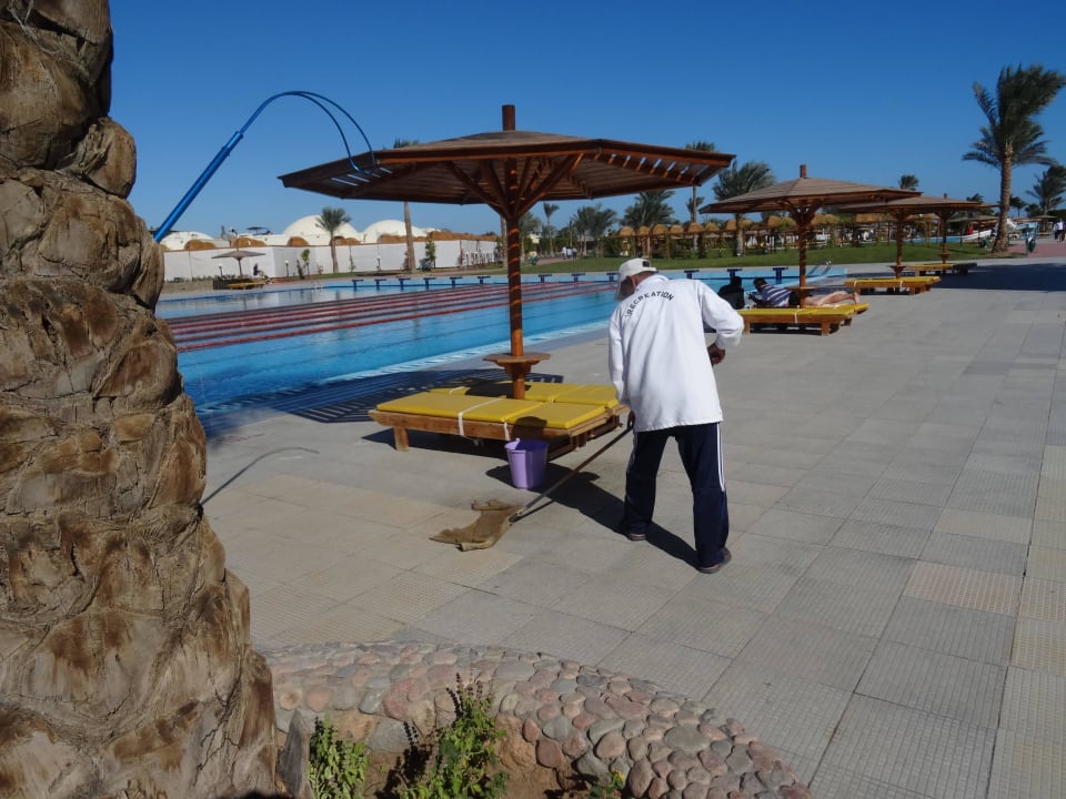 Es wurde ständig gereinigt Desert Rose