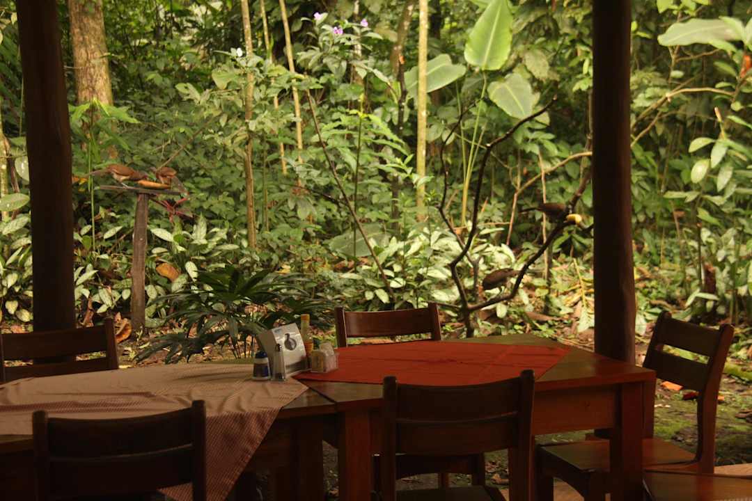 Frühstück mit Vogelfütterung Hotel Oasis Fortuna