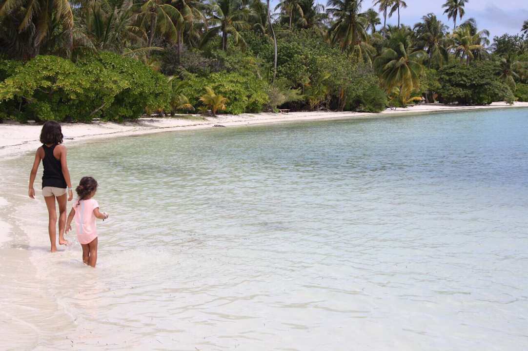 Manta & Hai Baby Aquarium Kuredu Island Resort & Spa