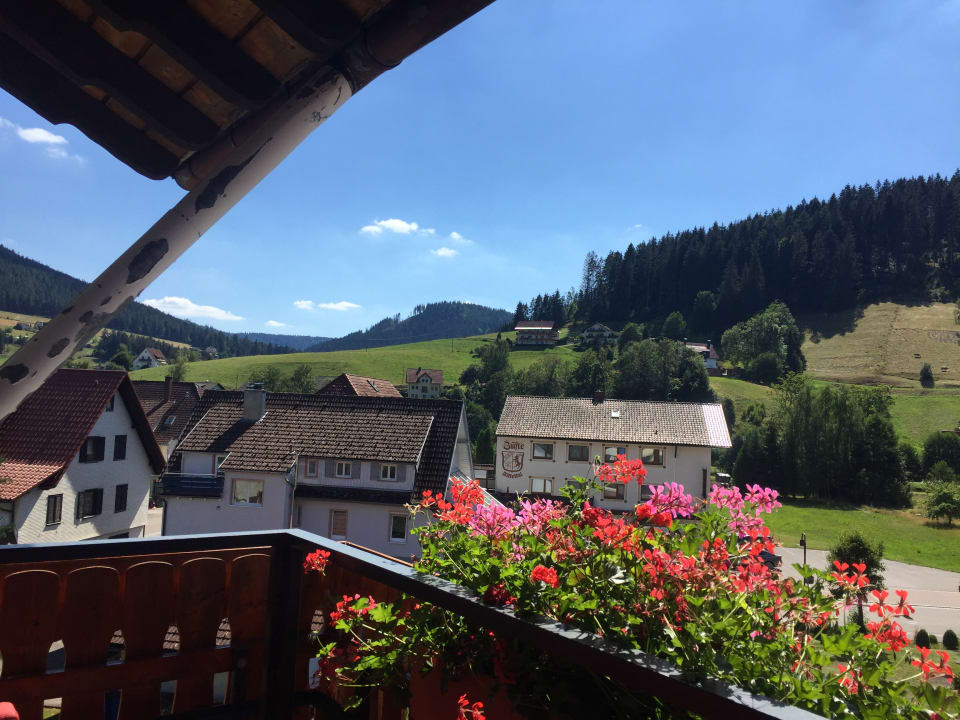 Ausblick Ferienhotel Ödenhof
