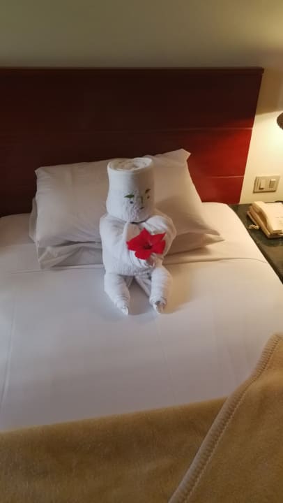 Rommboy Amphoras Blu