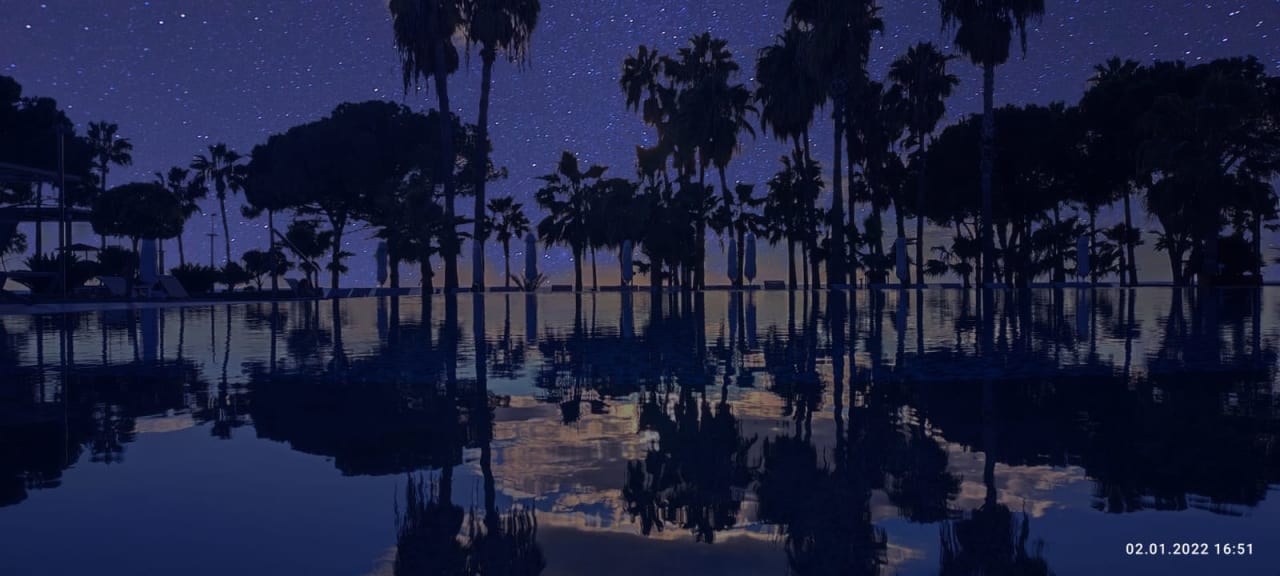 Pool Acanthus Cennet Barut Collection