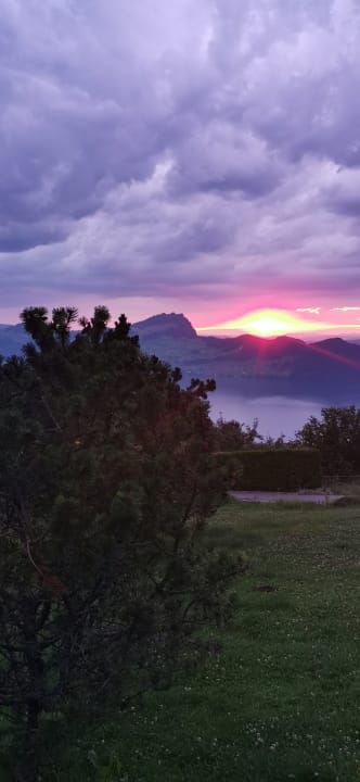 Ausblick Seeblick Höhenhotel