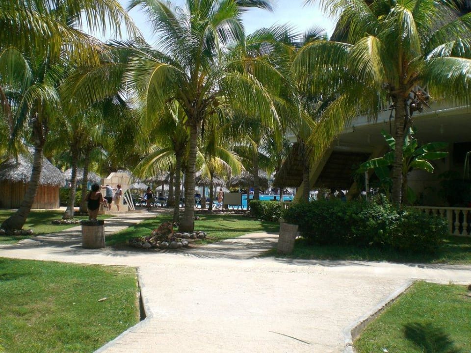 Weg vom Strand zum Pool Melia Las Antillas - Adults only