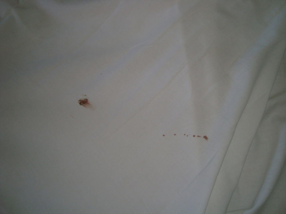 Ekel BelleVue Dominican Bay