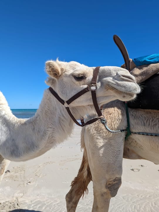 Strand TUI MAGIC LIFE Penelope Beach