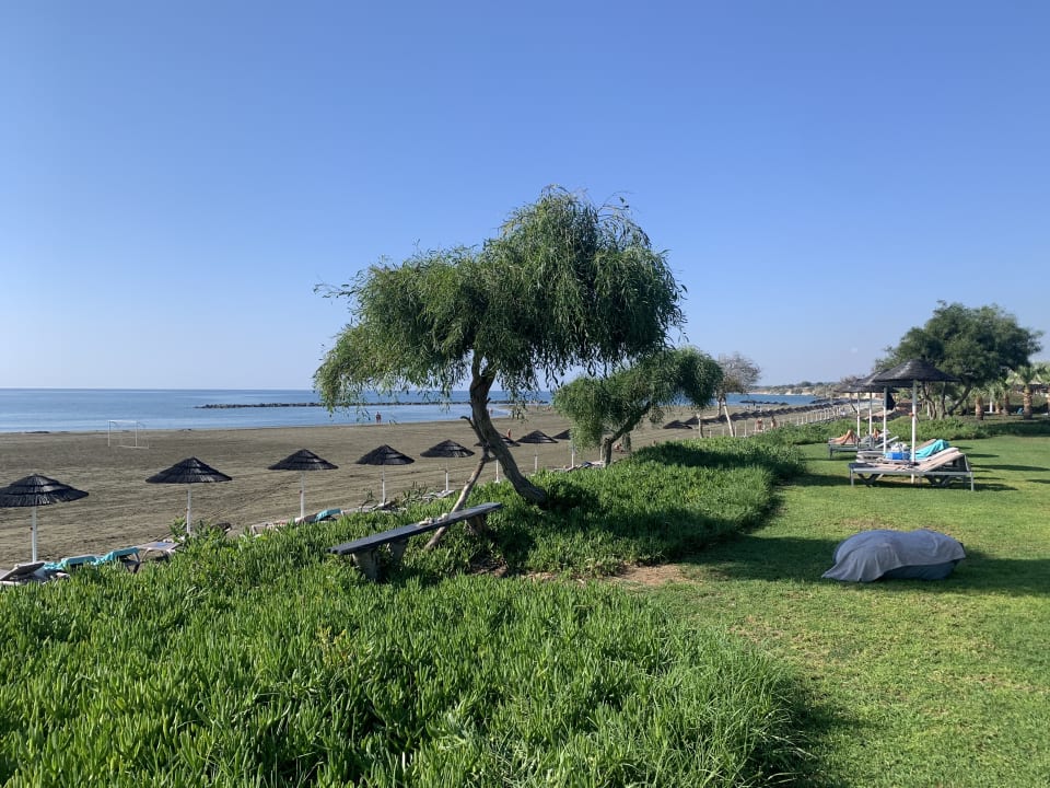 Gartenanlage ROBINSON CYPRUS