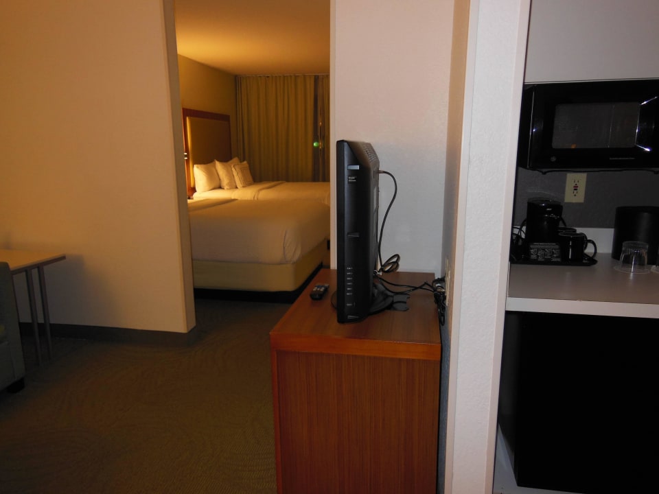 Zimmer SpringHill Suites Orlando Convention Center