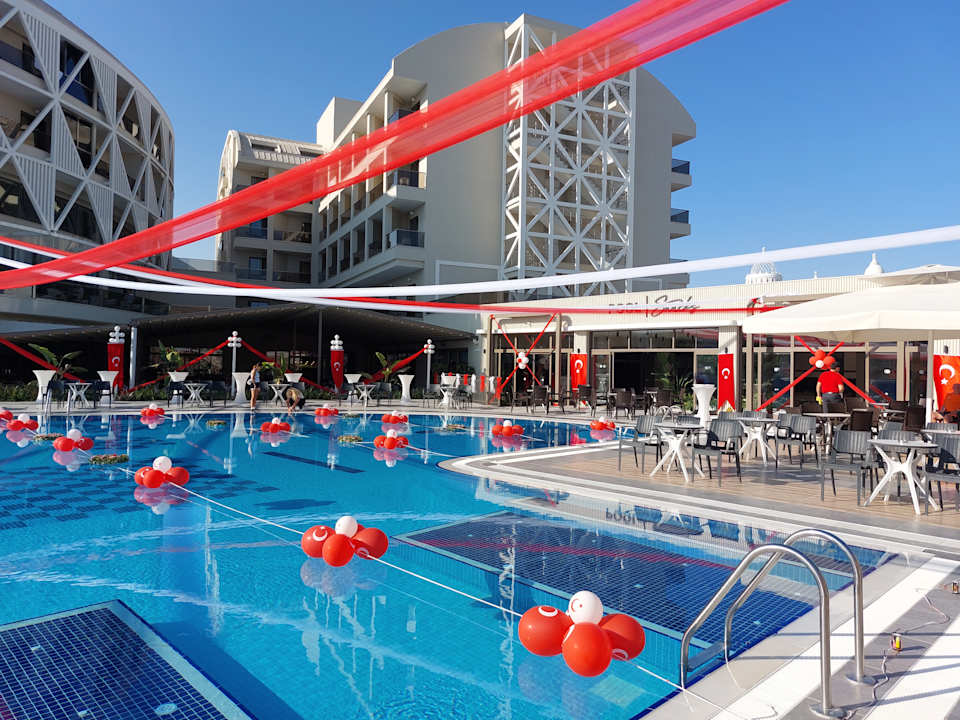 Sonstiges Seashell Vega