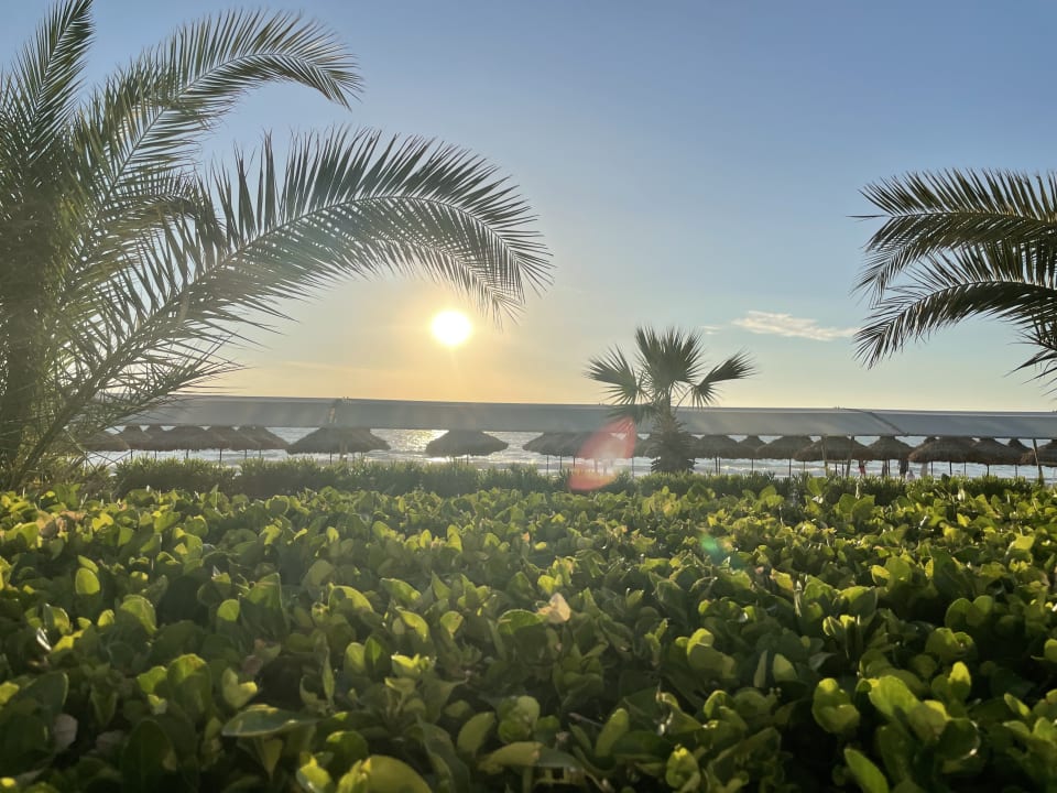 Ausblick Palm Wings Kusadasi Beach Resort & Spa
