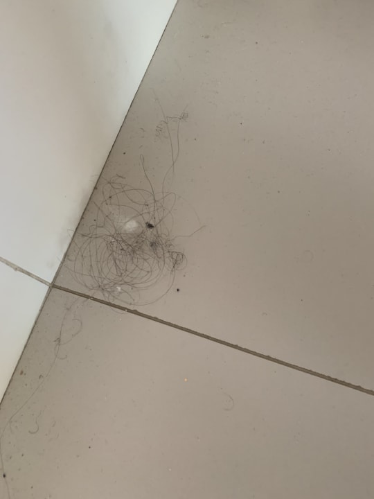 Zimmer Iberostar Waves Ciudad Blanca