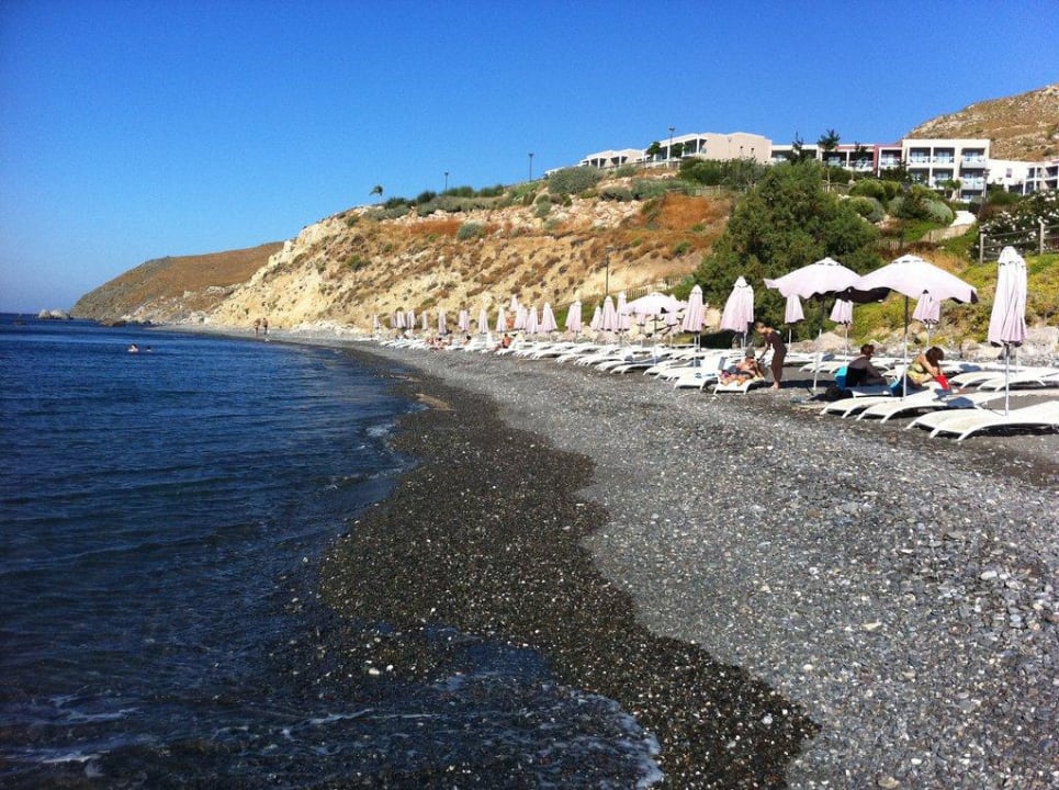Plage de galets Dimitra Beach Hotel & Suites