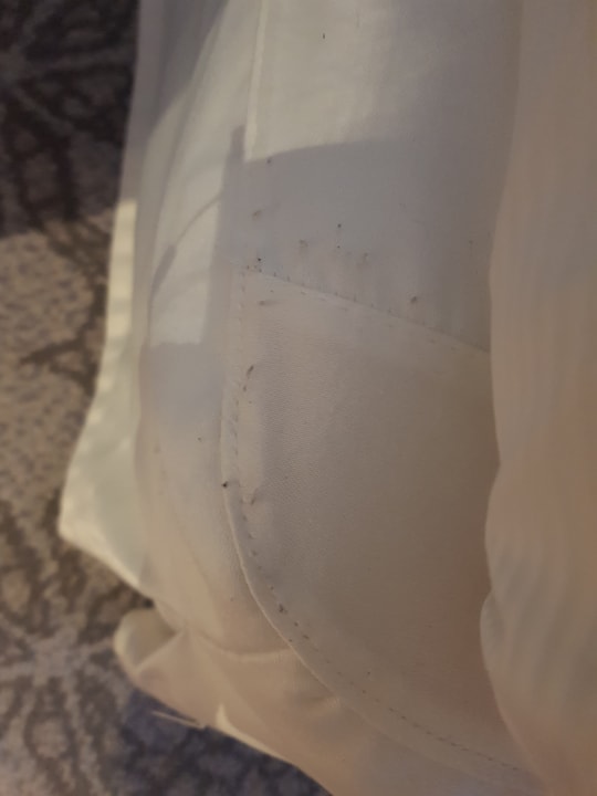 Zimmer Dorint Hotel Bonn