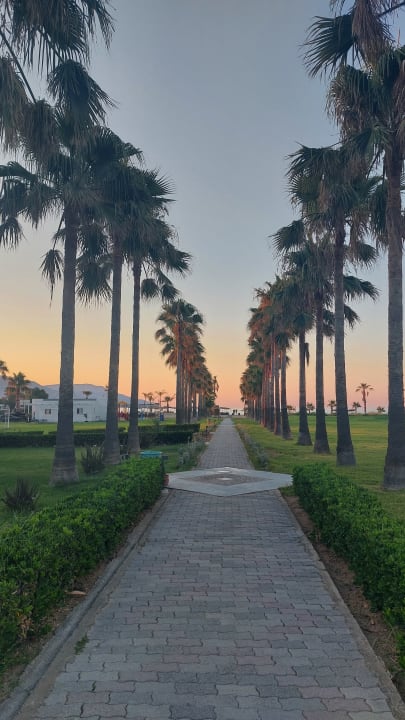 Gartenanlage Delfina Tropic Beach