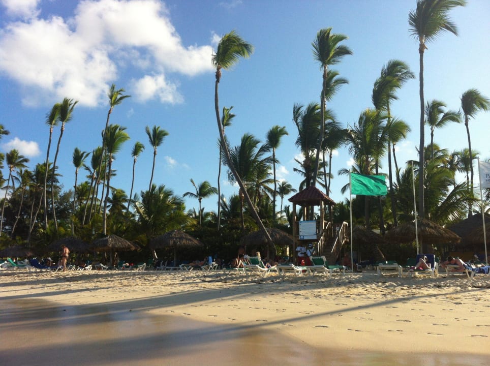 Haben hier keine Muscheln oder Steine gefunden Grand Palladium Select Bávaro Resort & Spa
