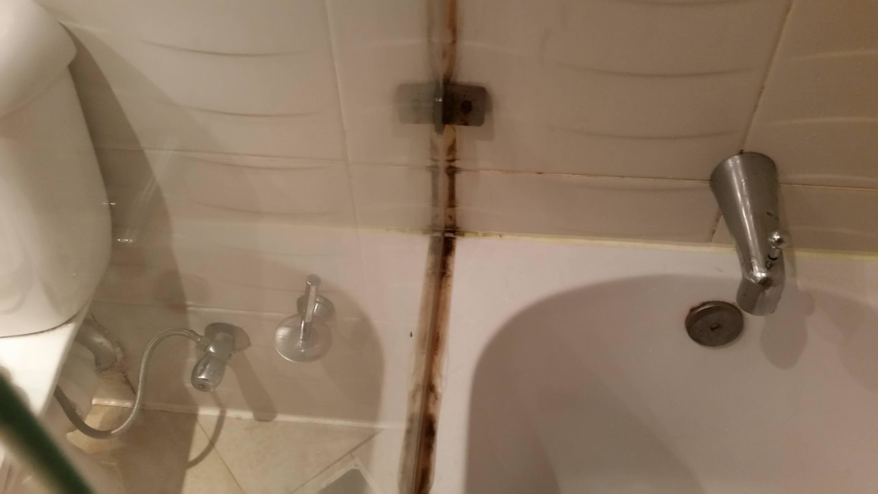 Ekliger Schimmel Imperial Shams Abu Soma