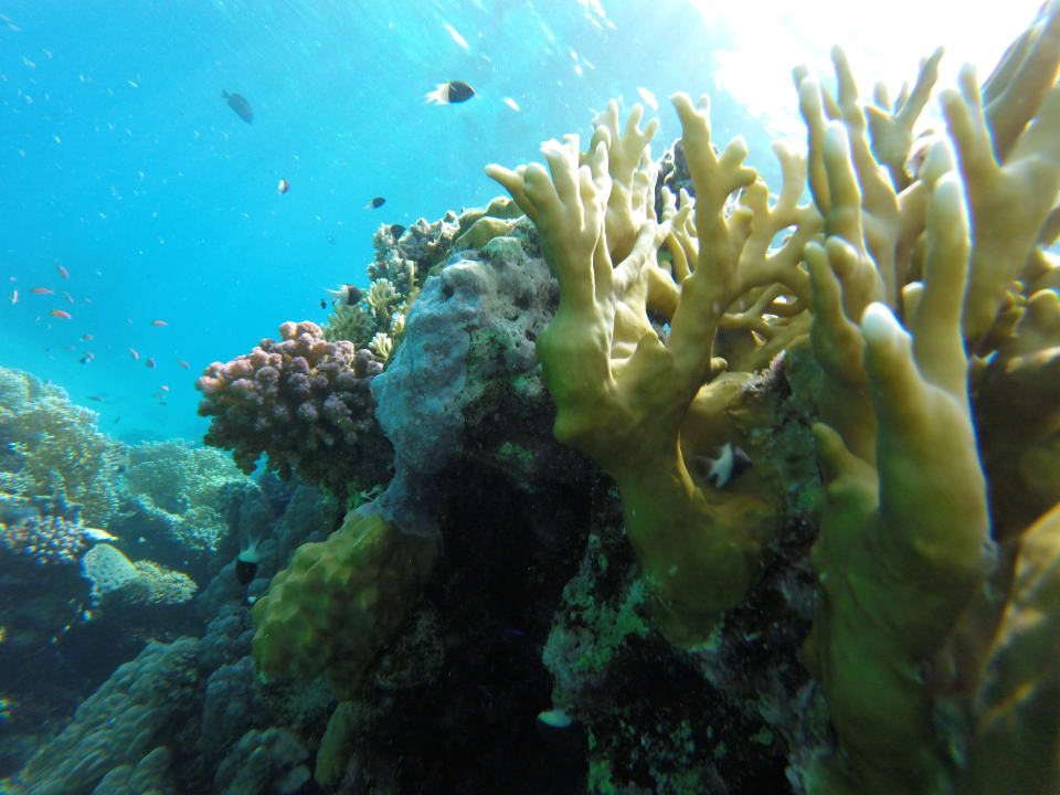 Strand Brayka Bay Resort