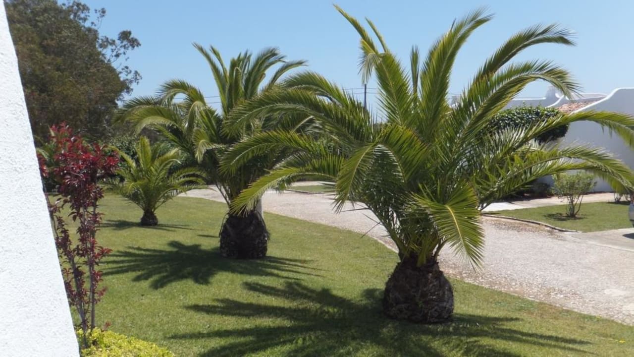 Sehr gepfegte Aussenanlagen Hotel Ancora Park
