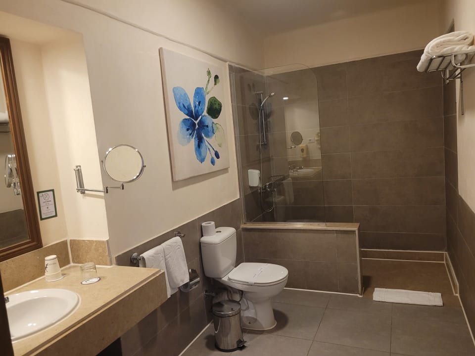 Zimmer Pickalbatros Citadel Resort