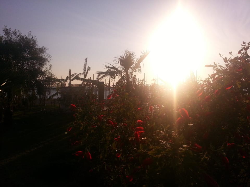 Hotel Titan Select Solivia Hotel